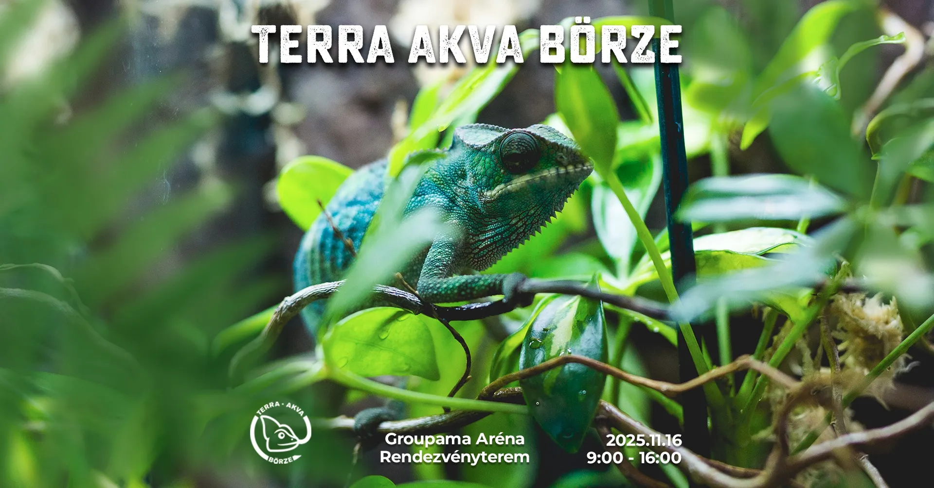 Következő börze - 2025 november 16